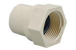 CPVC Female Adapters